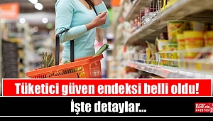 Tüketici güven endeksi belli oldu