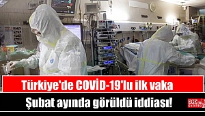 Türkiye'de COVİD-19'lu ilk vaka Şubat ayında görüldü iddiası
