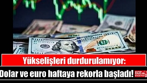 Yükselişleri durdurulamıyor: Dolar ve euro haftaya rekorla başladı