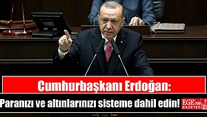 Cumhurbaşkanı Erdoğan: Paranızı ve altınlarınızı sisteme dahil edin