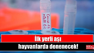 İlk yerli aşı hayvanlarda denenecek