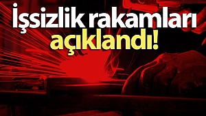İşsizlik rakamları açıklandı