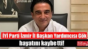 İYİ Parti İzmir İl Başkan Yardımcısı Gök hayatını kaybetti