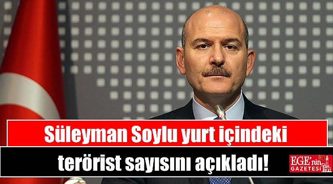 Süleyman Soylu yurt içindeki terörist sayısını açıkladı