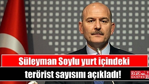 Süleyman Soylu yurt içindeki terörist sayısını açıkladı
