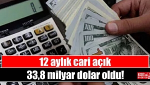 12 aylık cari açık 33,8 milyar dolar oldu
