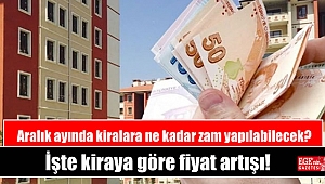 Aralık ayında kiralara ne kadar zam yapılabilecek: İşte kiraya göre fiyat artışı