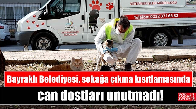 Bayraklı Belediyesi, sokağa çıkma kısıtlamasında da can dostları unutmadı