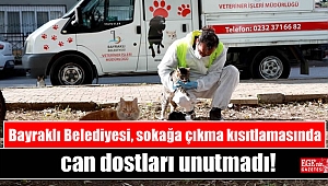 Bayraklı Belediyesi, sokağa çıkma kısıtlamasında da can dostları unutmadı
