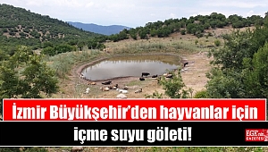 Büyükşehir’den hayvanlar için içme suyu göleti