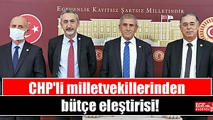 CHP'li milletvekillerinden bütçe eleştirisi