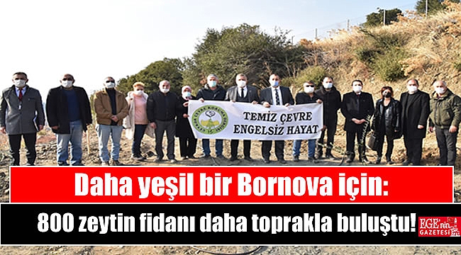 Daha yeşil bir Bornova için: 800 zeytin fidanı daha toprakla buluştu