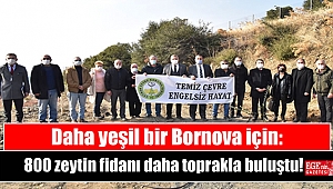 Daha yeşil bir Bornova için: 800 zeytin fidanı daha toprakla buluştu