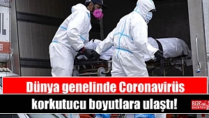 Dünya genelinde Coronavirüs korkutucu boyutlara ulaştı