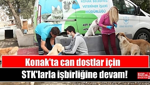 Konak'ta can dostlar için STK'larla işbirliğine devam