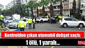 Kontrolden çıkan otomobil dehşet saçtı: 1 ölü, 1 yaralı