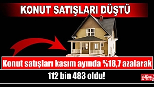 Konut satışları kasım ayında %18,7 azalarak 112 bin 483 oldu