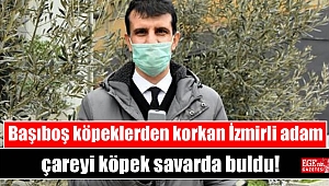 Başıboş köpeklerden korkan İzmirli adam çareyi köpek savarda buldu