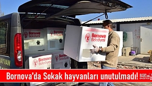 Bornova’da Sokak hayvanları unutulmadı