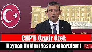CHP'li Özgür Özel: Hayvan Hakları Yasası'nın çıkartılsın