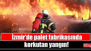 İzmir'de palet fabrikasında yangın