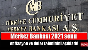 Merkez Bankası 2021 sonu enflasyon ve dolar tahminini açıkladı