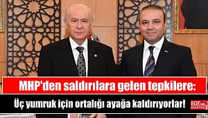 MHP'den saldırılara gelen tepkilere: Üç yumruk için ortalığı ayağa kaldırıyorlar