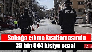 Sokağa çıkma kısıtlamasında 35 bin 544 kişiye ceza