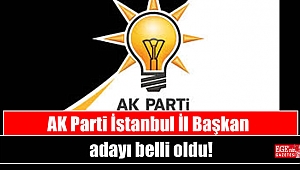 AK Parti İstanbul İl Başkan adayı belli oldu
