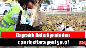 Bayraklı Belediyesinden can dostlara yeni yuva