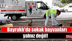 Bayraklı'da sokak hayvanları yalnız değil