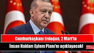 Cumhurbaşkanı Erdoğan, 2 Mart'ta İnsan Hakları Eylem Planı'nı açıklayacak
