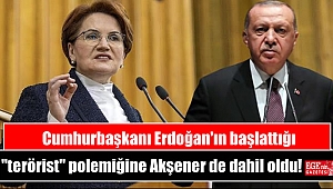 Cumhurbaşkanı Erdoğan'ın başlattığı