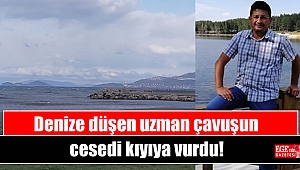 Denize düşen uzman çavuşun cesedi kıyıya vurdu
