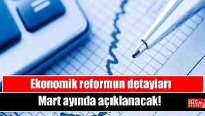 Ekonomik reformun detayları Mart ayında açıklanacak