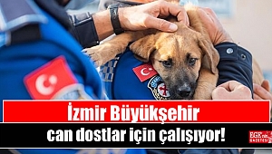 İzmir Büyükşehir can dostlar için çalışıyor