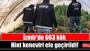 İzmir'de 663 kök Hint keneviri ele geçirildi