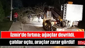İzmir'de fırtına; ağaçlar devrildi, çatılar uçtu, araçlar zarar gördü