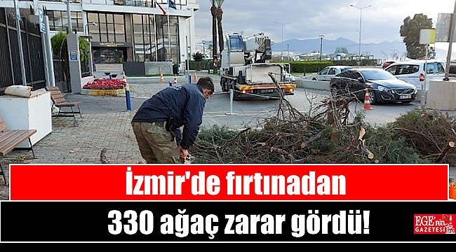 İzmir'de fırtınadan 330 ağaç zarar gördü