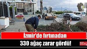 İzmir'de fırtınadan 330 ağaç zarar gördü