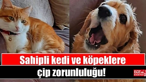 Sahipli kedi ve köpeklere çip zorunluluğu