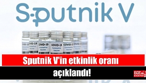 Sputnik V'in etkinlik oranı açıklandı