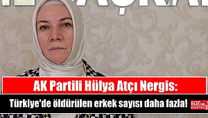 AK Partili Hülya Atçı Nergis: Türkiye'de öldürülen erkek sayısı daha fazla