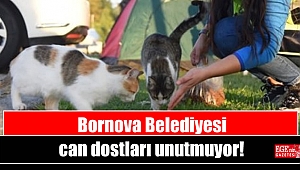 Bornova Belediyesi can dostları unutmuyor