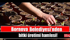Bornova Belediyesi'nden bitki üretimi hamlesi