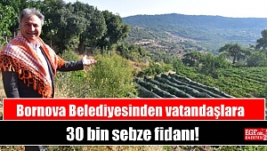 Bornova Belediyesinden vatandaşlara 30 bin sebze fidanı