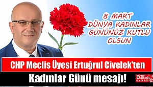 CHP Meclis Üyesi Ertuğrul Civelek'ten 8 Mart Dünya Kadınlar günü mesajı