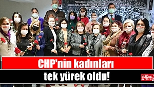 CHP'nin kadınları tek yürek oldu