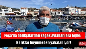 Foça'da balıkçılardan kaçak avlananlara tepki: Balıklar büyümeden yakalanıyor