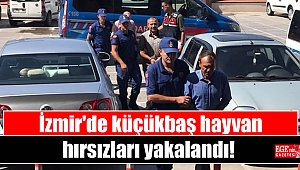 İzmir'de küçükbaş hayvan hırsızları yakalandı